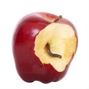 Image result for albuquerque public schools worm in apple