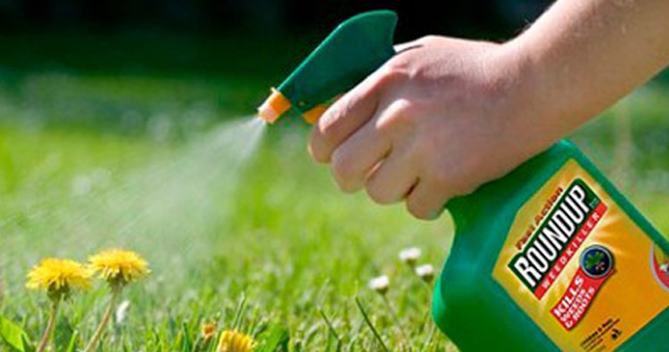  Glyphosate Found in Urine of 93 percent of Americans Tested