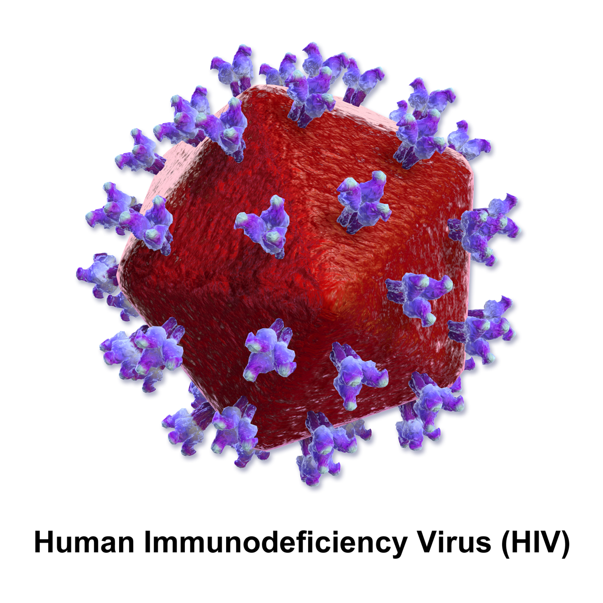 what is hiv wikipedia
